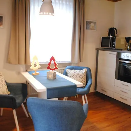Ferienwohnungen Haus Else Willingen  Extérieur photo